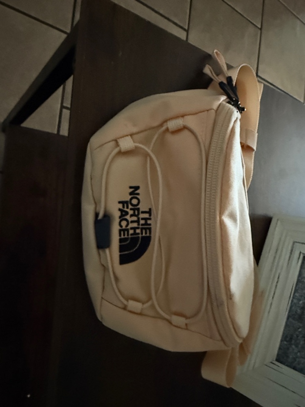 The North Face Beige/Tan Men’s Waist Pack with Black Logo